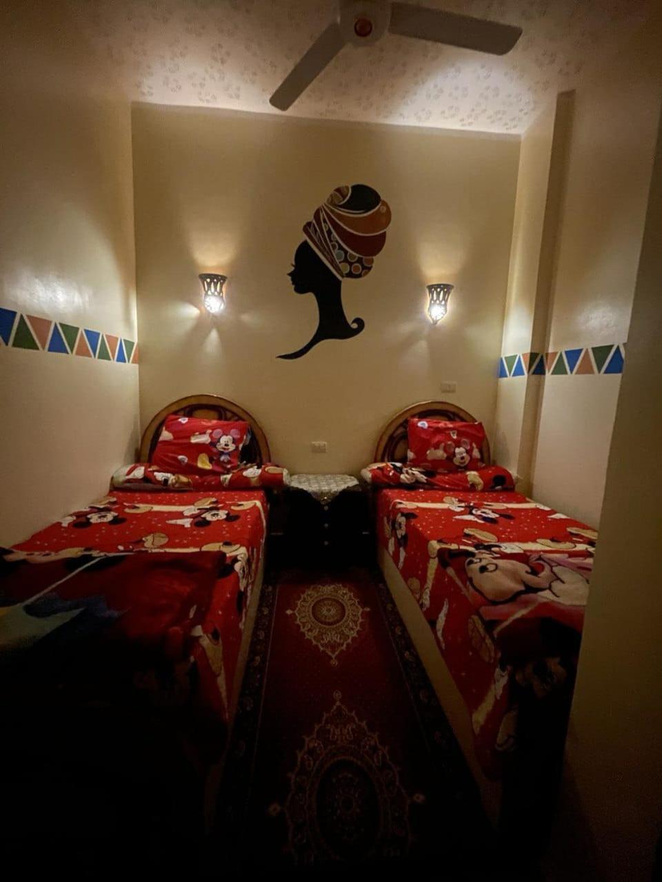 Shater Nubian House Asuán Exteriér fotografie